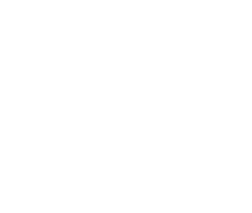 IRTH